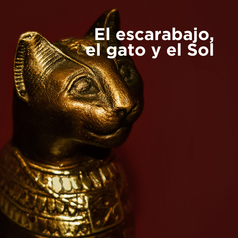 bestfriendsmx_bestfriends_catsfriends_catsfriendsmx_gato_escarabajo_sol_egipto_historia_luis.fernando.de.juan_el.gato.y.el.sol