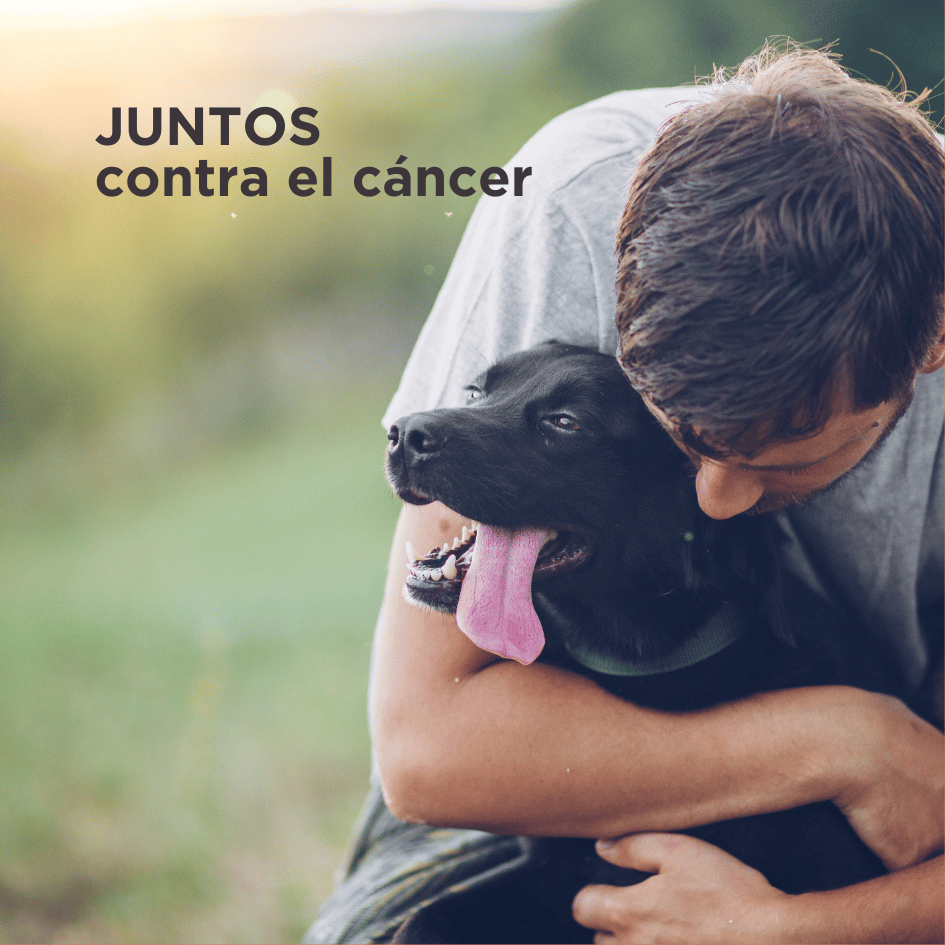 bestfriendsmx_bestfriends_catsfriends_catsfriendsmx_Fraga.Ostos_cancer_cancer.en.perros_ansiedad_salud.mental