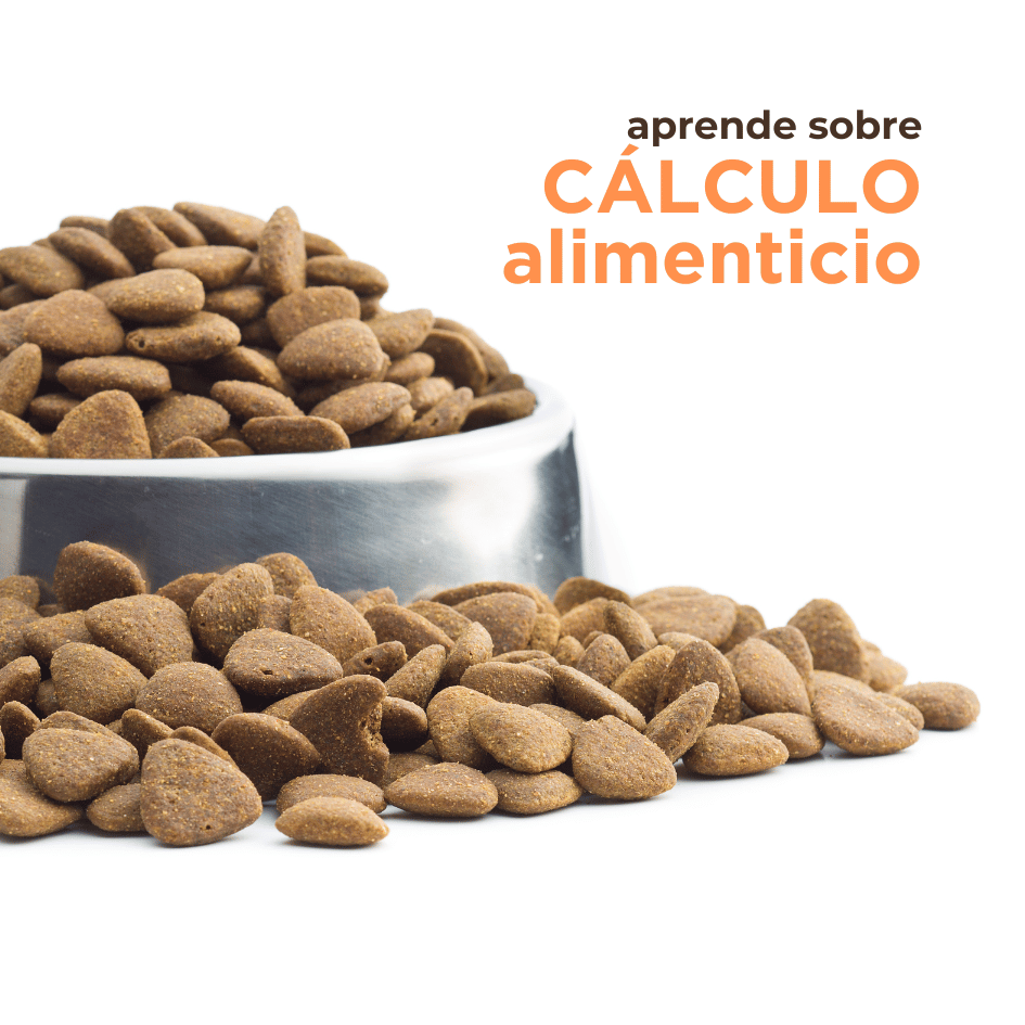 bestfriendsmx_bestfriends_catsfriends_catsfriendsmx_alimento.para.perros_nutricion.veterinaria_perros_calculo.alimenticio_croquetas.para.perro