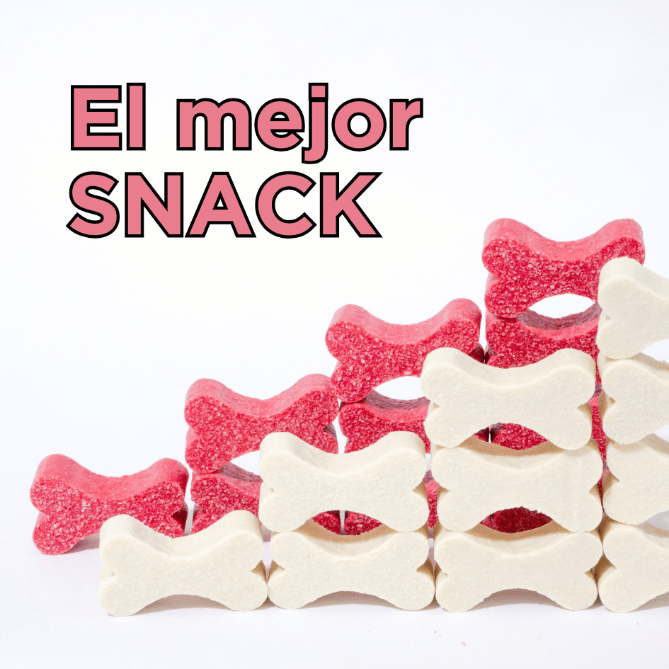 bestfriendsmx_bestfriends_catsfriends_catsfriendsmx_snack.para.perro_premios.para.perro_premios_perros_postre.gourmet_backery_reposteria.veterinaria