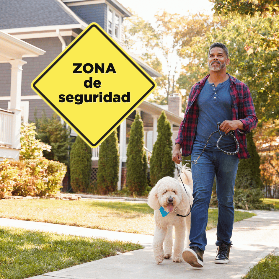 bestfriendsmx_bestfriends_catsfriends_catsfriendsmx_paseo.seguro_zona.de.seguridad_vecinos_perro_perro.perdido