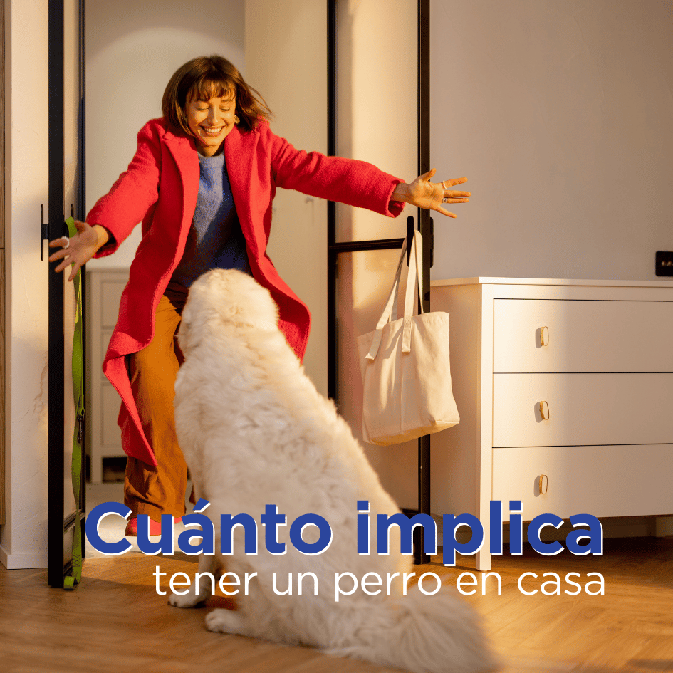 bestfriendsmx_bestfriends_catsfriends_catsfriendsmx_etologia.canina_etovet_perros.en.casa_tener.un.perro.en.casa_adoptar.un.perro_