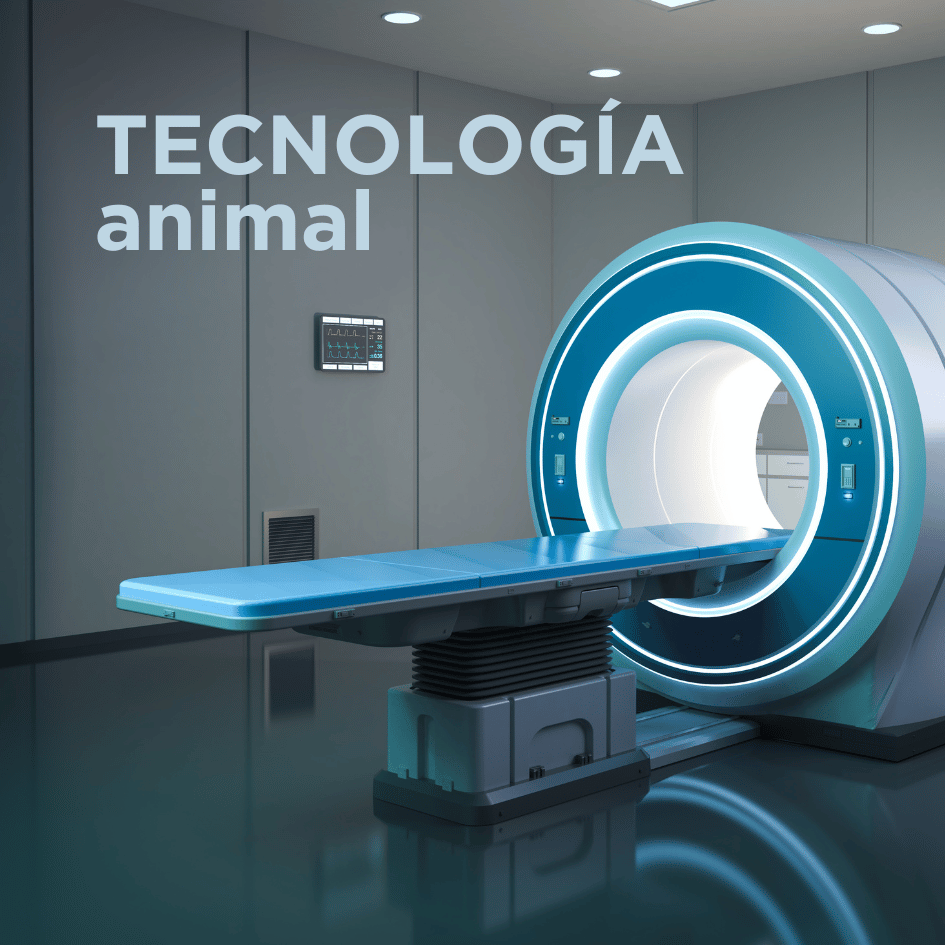 bestfriendsmx_bestfriends_catsfriends_catsfriendsmx_ana.paola.velasco_tomografia_cqvet_resonancia_tecnologia.animal_ciencia.veterinaria_tecnologia.veterinaria