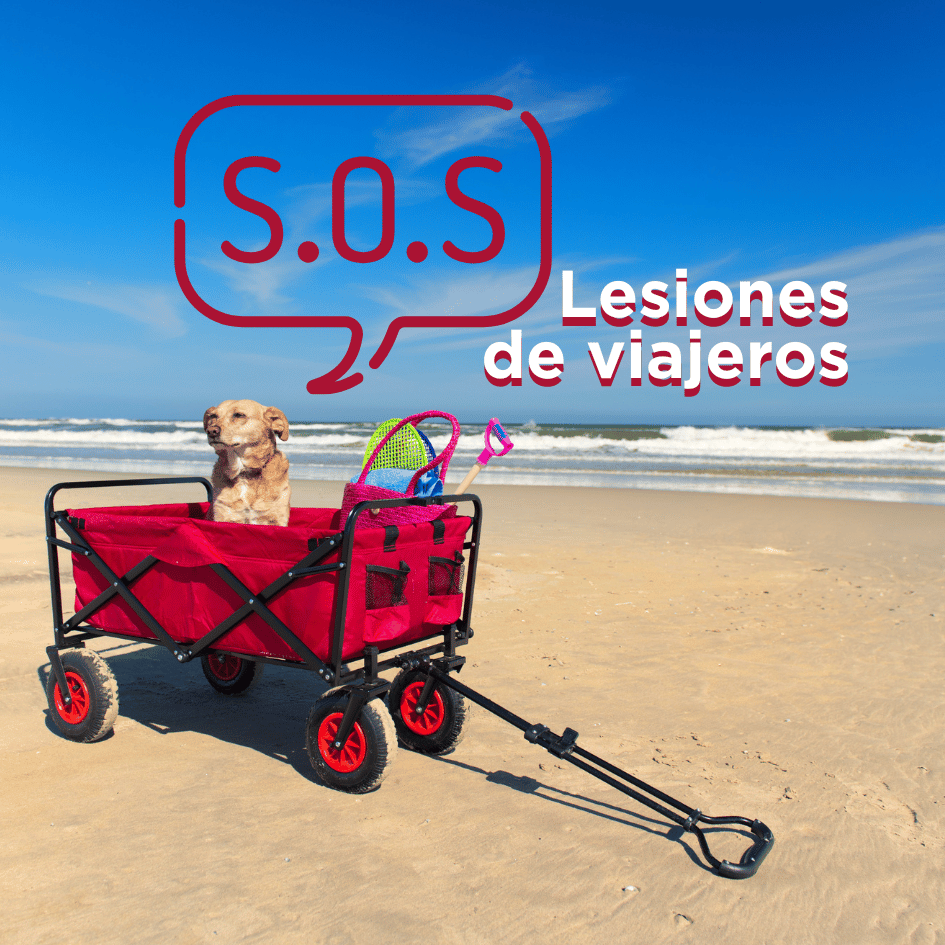 bestfriendsmx_bestfriends_ana.paola.velasco_cqvet_perros_vacaciones_lesiones_enfermedades.gastrointestinales_respiratorias_cardiovasculares_traumatismo_fracturas_golpe.de.calor