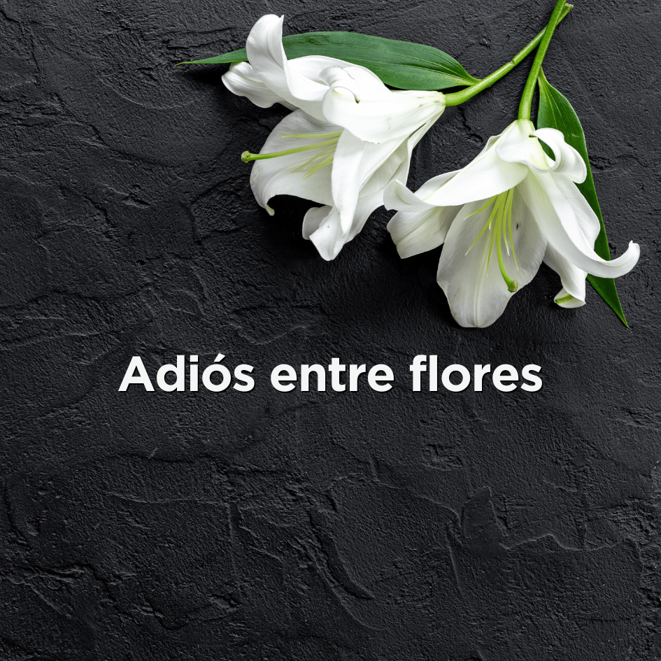 bestfriendsmx_bestfriends_catsfriends_catsfriendsmx_fraga.ostos_tanatologia_duelo_perdida.de.un.ser.querido_muerte.de.una.mascota_adios.entre.flores_1