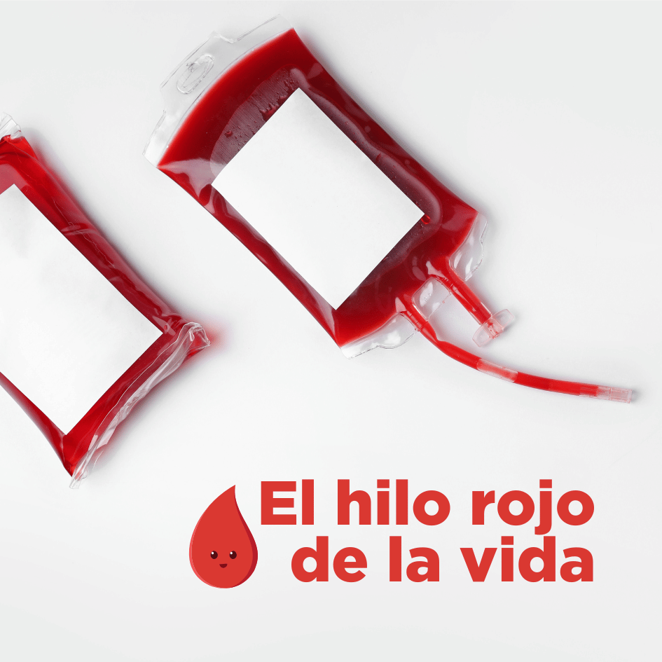 bestfriendsmx_bestfriends_catsfriends_catsfriendsmx_ana.paola.velasco_cqvet_perros_gatos_donacion.de.sangre_transfusion.sanguinea_emergencia_requisitos_donante_donadro_enfermedad