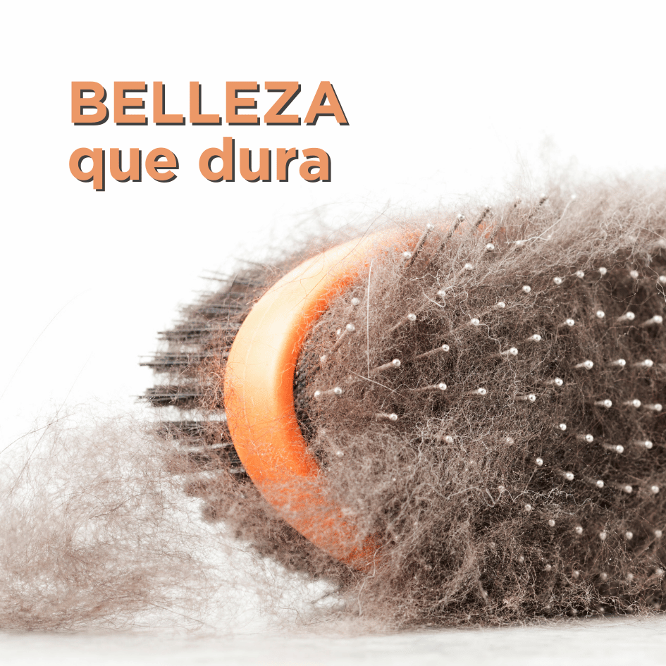 bestfriendsmx_bestfriends_catsfriends_catsfriendsmx_pelecha_muda.de.pelo_perro_cepillado.en.casa_grooming.en.casa_perros_bañar.perros_cachorros.en.casa_cachorros.limpios 3
