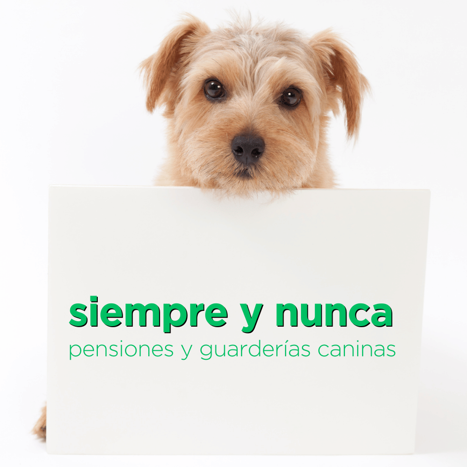 bestfriendsmx_bestfriends_catsfriends_catsfriendsmx_etologia.canina_etovet_pensiones.caninas_guarderias.caninas_hoteles.caninos