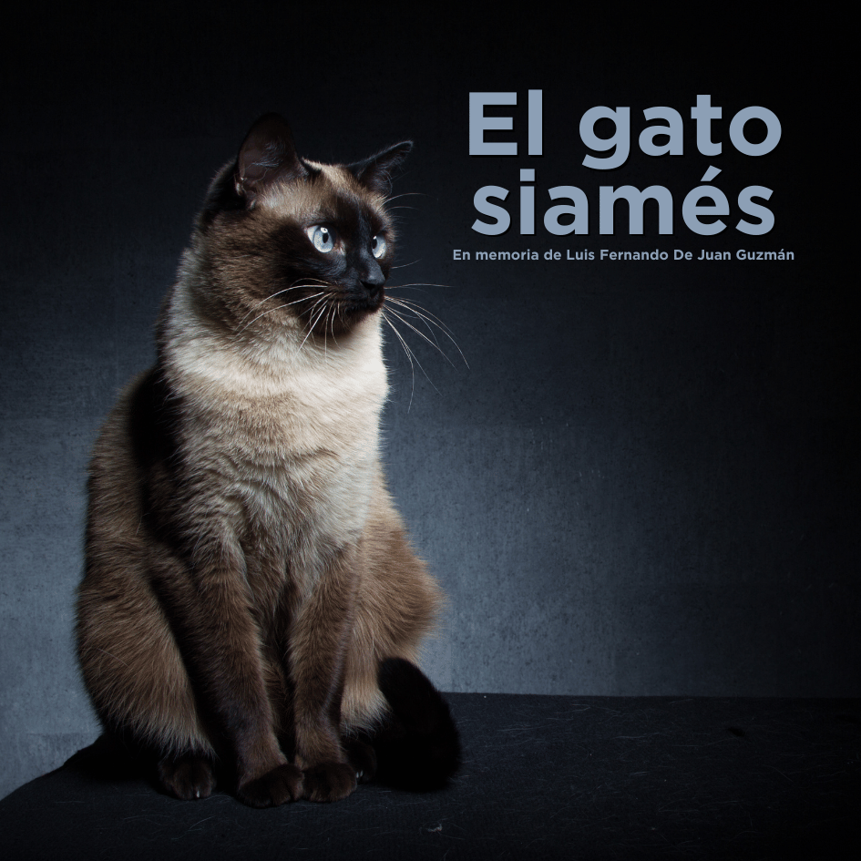bestfriendsmx_bestfriends_catsfriends_catsfriendsmx_