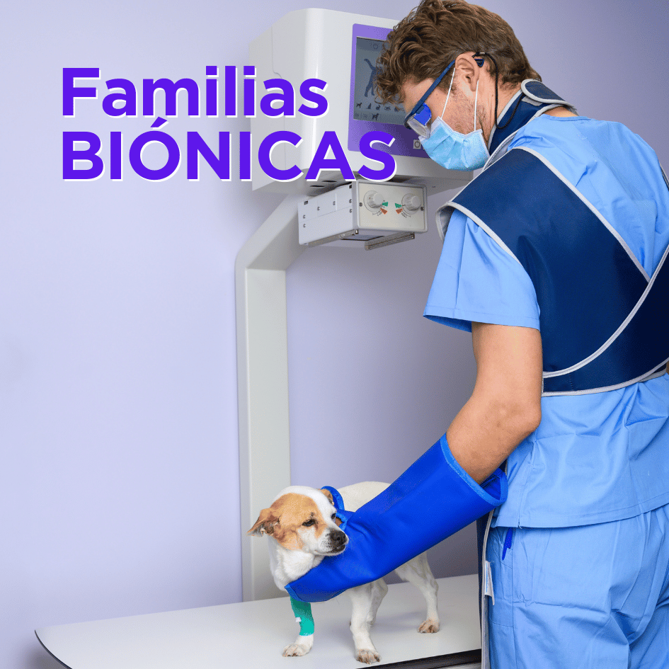 bestfriendsmx_bestfriends_catsfriends_catsfriendsmx_cqvet_ana.paola.velasco.espinosa_familias.bionicas_protesis.veterinaria_protesis.para.perros_perro_rayos.x.