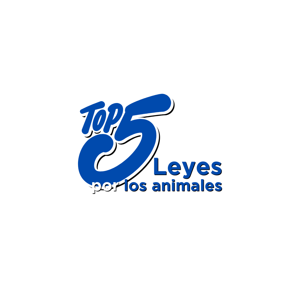 bestfriendsmx_bestfriends_catsfriends_catsfriendsmx_derechos.animales_leyes.de.animales_derecho.por.los.animales_top.5