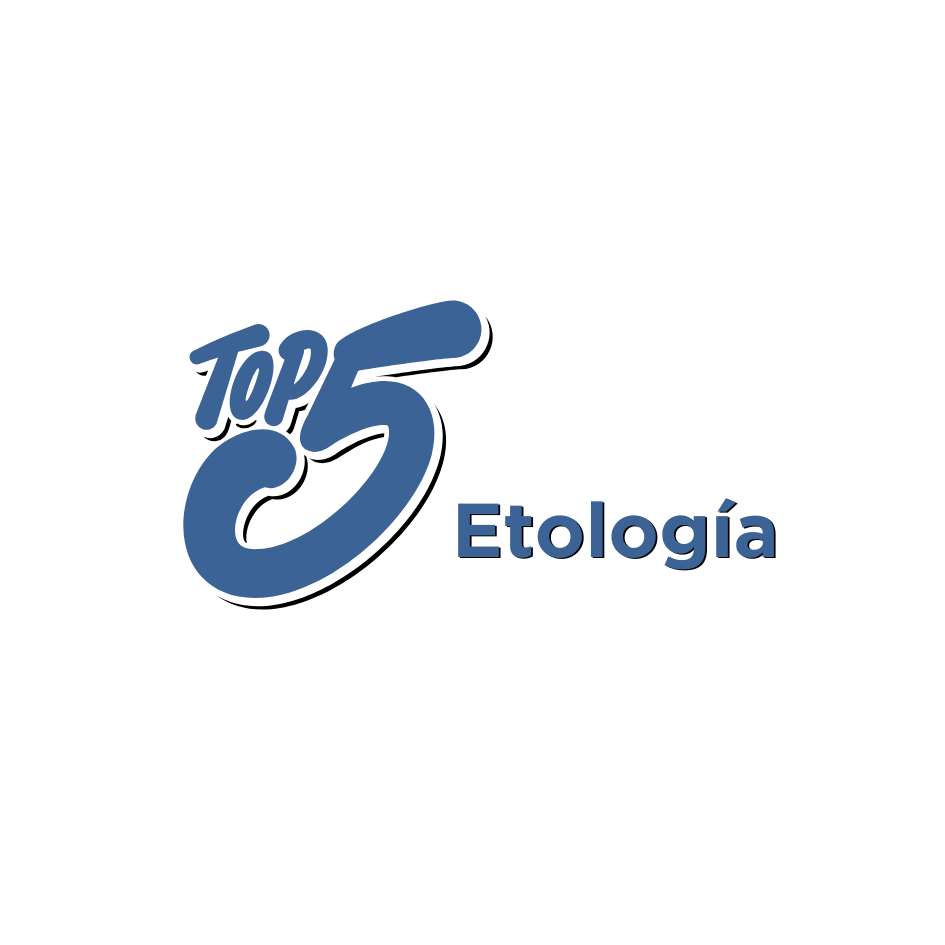 bestfriendsmx_bestfriends_catsfriends_catsfriendsmx_etologia_etologia.en.perros_etovet_adiestramiento_top.5_school