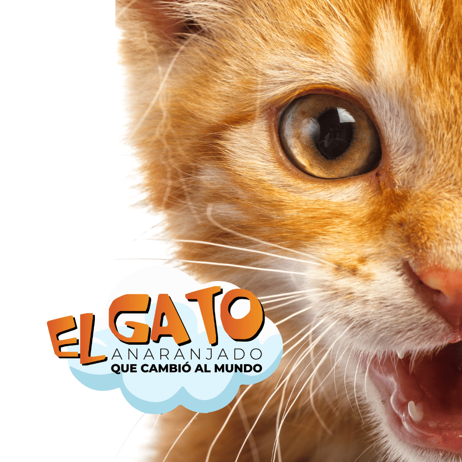 bestfriendsmx_bestfriends_catsfriends_catsfriendsmx_garfield_gato.naranja_jim_lasaña_