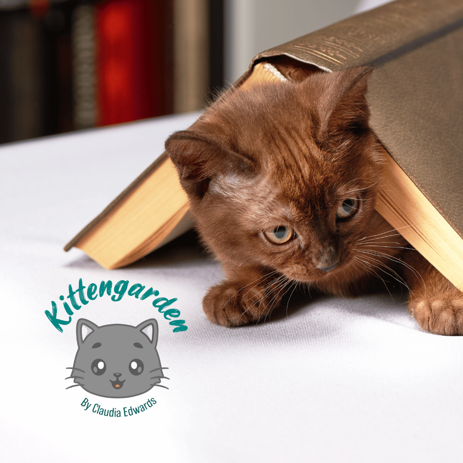 bestfriendsmx_bestfriends_catsfriends_catsfriendsmx_claudia.edwards_etologia_etologia.felina_kittengarden_curso.felino_escuela.para.gatitos_
