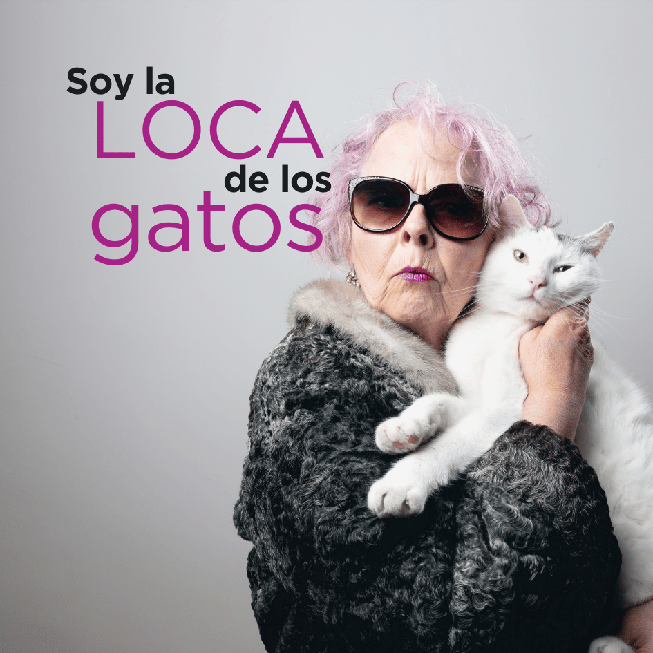 bestfriendsmx_bestfriends_catsfriends_catsfriendsmx_aly.noris_ali.noris_tica_luis.fernando.peña_loca.de.los.gatos_crazy.cat.lady