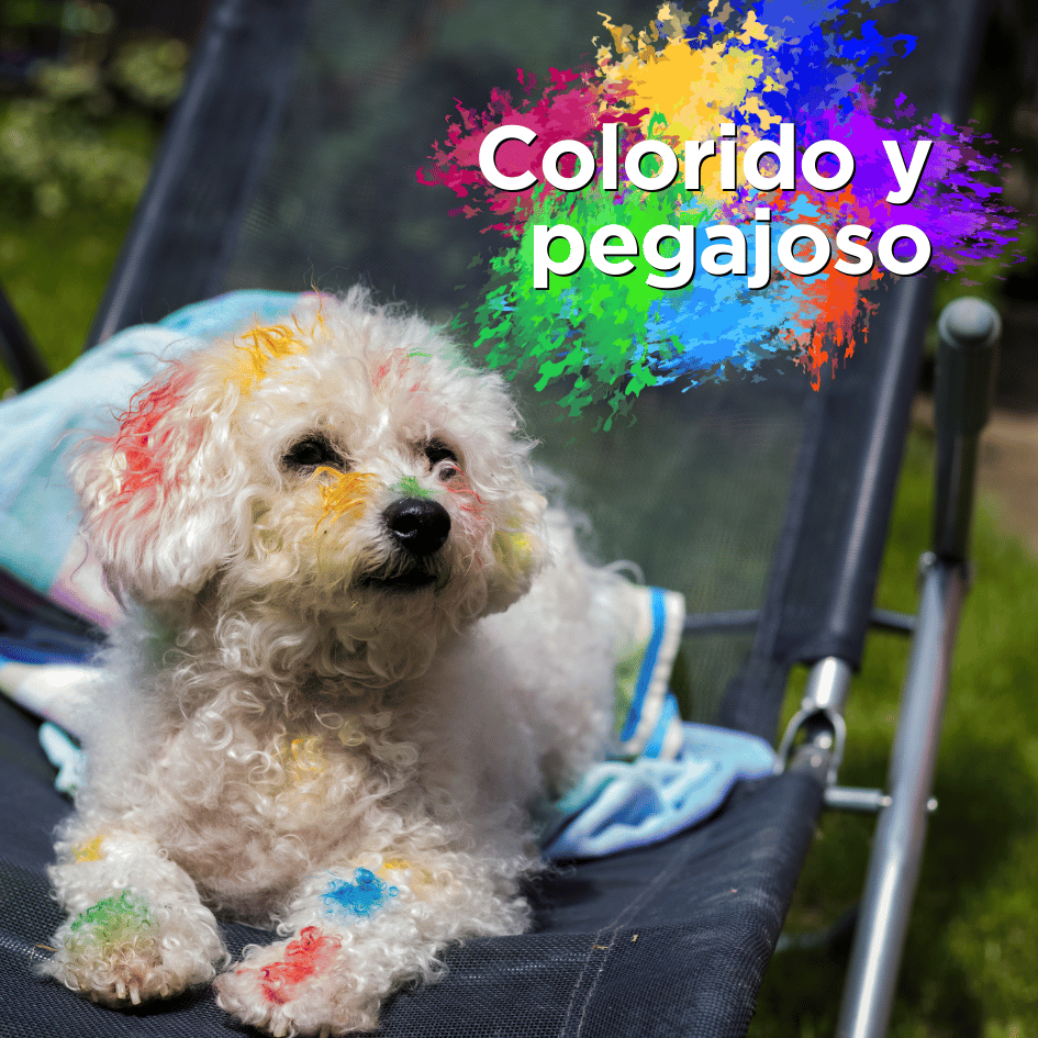bestfriendsmx_bestfriends_catsfriends_catsfriendsmx_color_sucio_perro_perros.y.niños_pegajosos_cachorros 1