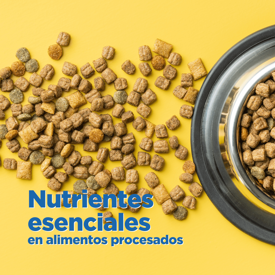 bestfriendsmx_bestfriends_catsfriends_catsfriendsmx_mars.pet.nutrition_nutrientes.esenciales_alimentos.procesados_croquetas.para.perros_pedigree