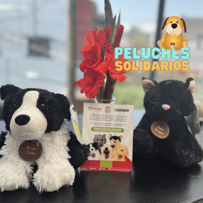 bestfriendsmx_bestfriends_catsfriends_catsfriendsmx__peluches.solidarios_soriana_purina_milagros.caninos_pets.friends.forever 1