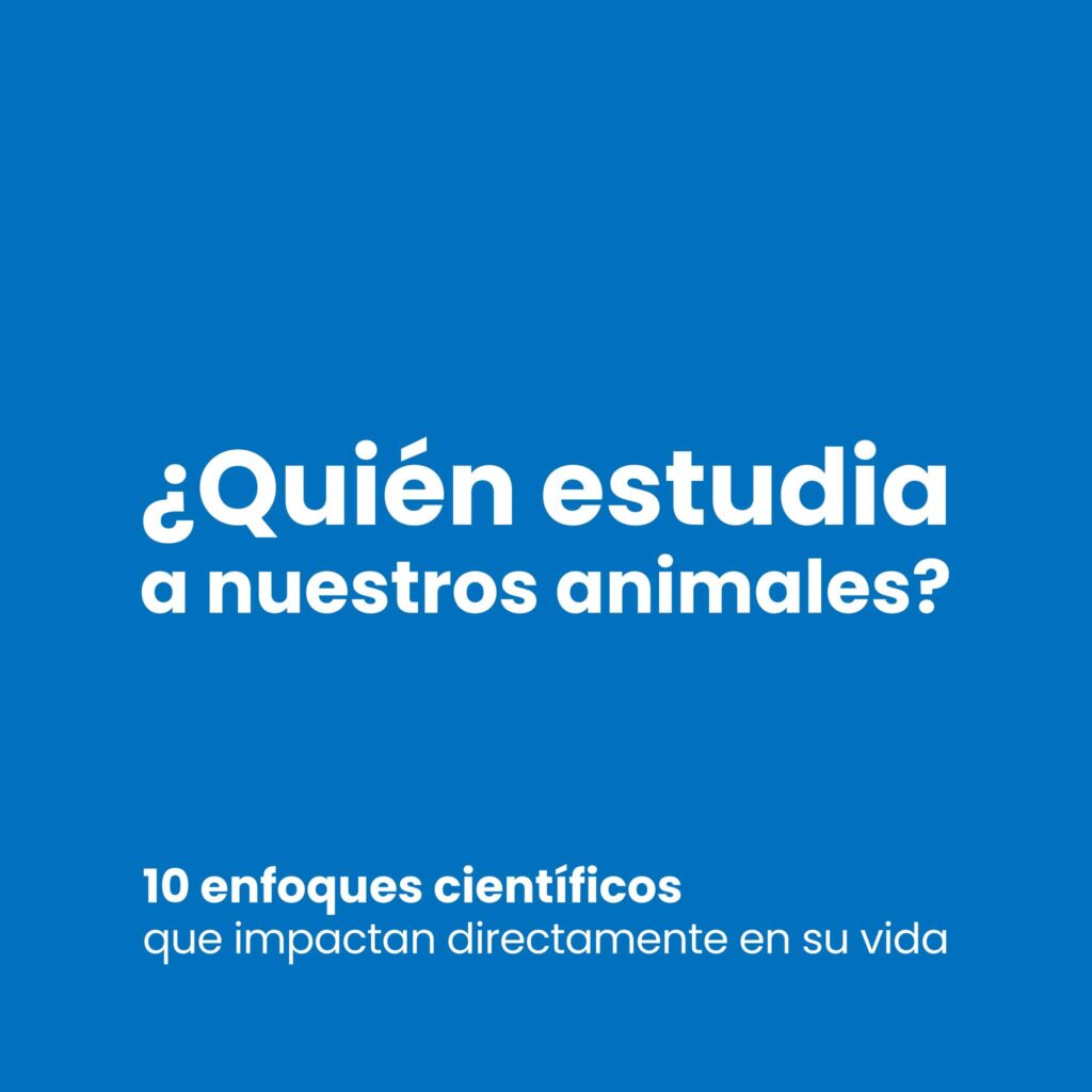 bestfriendsmx_bestfriends_catsfriends_catsfriendsmx_areas.de.estudio.animal_perros_gatos_biologos_etologos_entomologos_urbanistas_ciudades.pet.friendly_paco.colmenares 1