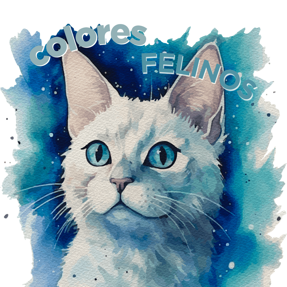 bestfriendsmx_bestfriends_catsfriends_catsfriendsmx_colores.felinos_colores.frios_colores.para.gatos_gatos