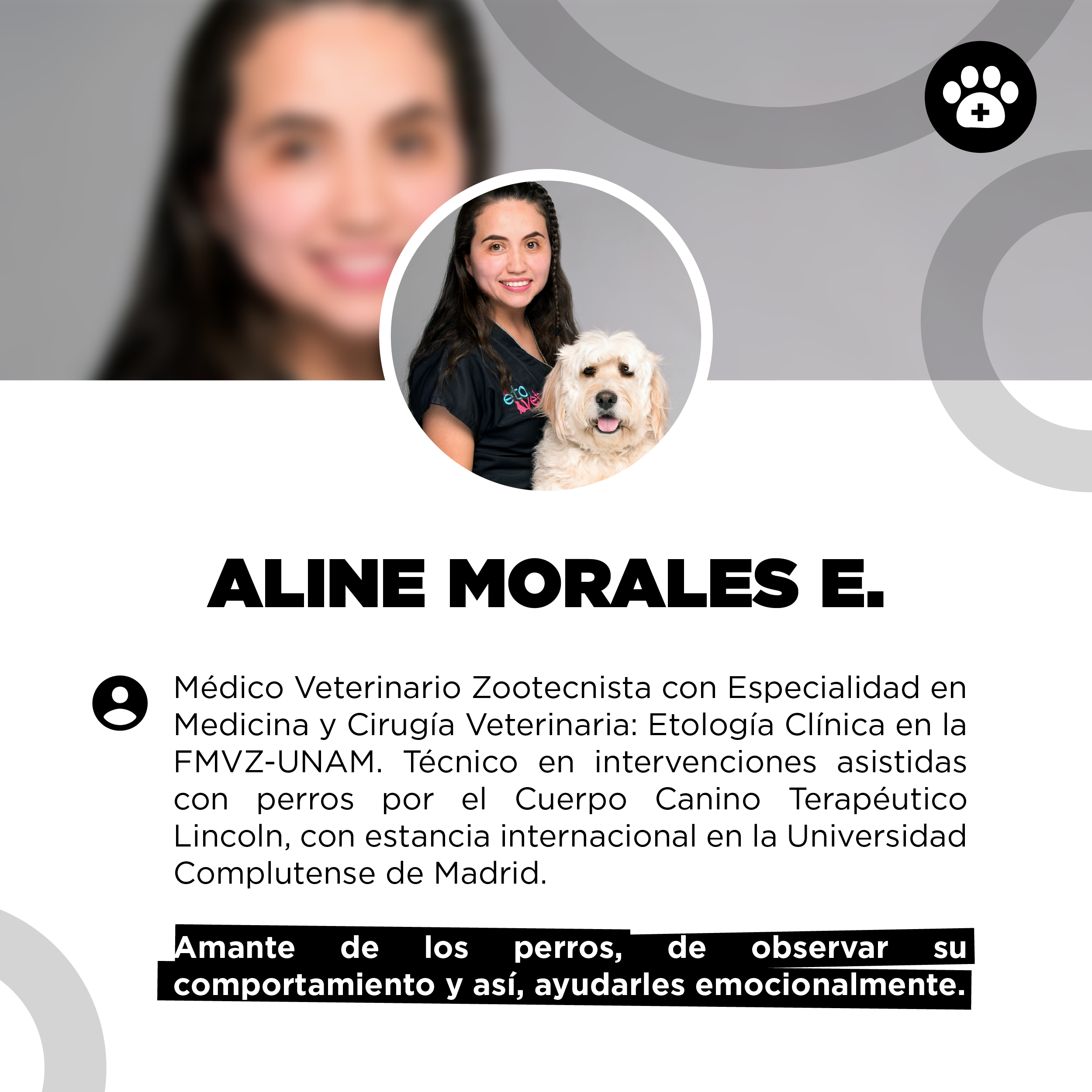 bestfriendsmx_bestfriends_catsfriends_catsfriendsmx_etovet_aline.ixtab.morales.estrada_