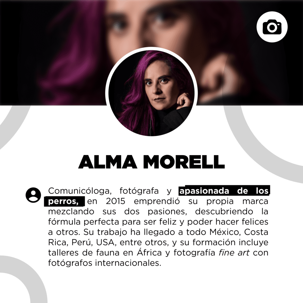 bestfriendsmx_bestfriends_catsfriends_catsfriendsmx_alma.morell_fotografa.profesional_fotografa.de.animales