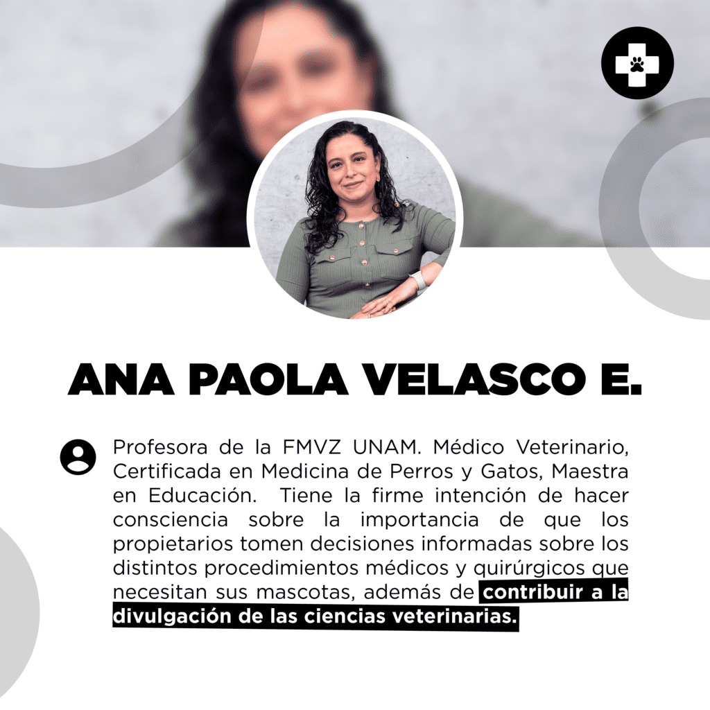 bestfriendsmx_bestfriends_catsfriends_catsfriendsmx_ana.paola.velasco.espinosa_cqvet_medico.veterinario.zootecnista_cirugia.perros.gatos