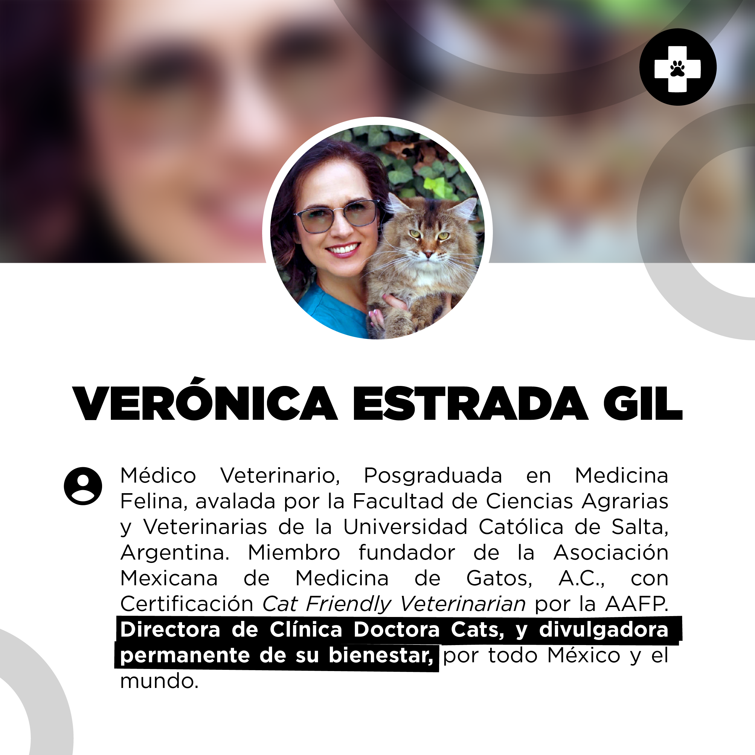 bestfriendsmx_bestfriends_catsfriends_catsfriendsmx_veronica.estrada.gil_clinica.doctora.cats_medicina.veterinaria.felina_especialista.felino_gato_gatos_fygo.the.cat