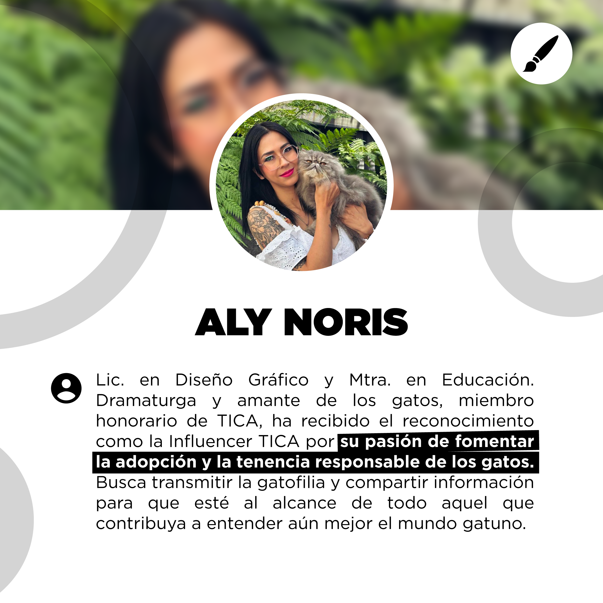 bestfriendsmx_bestfriends_catsfriends_catsfriendsmx_aly.noris_ali.noris_tica_gatos_restatista.animal_luis.fernando.peña