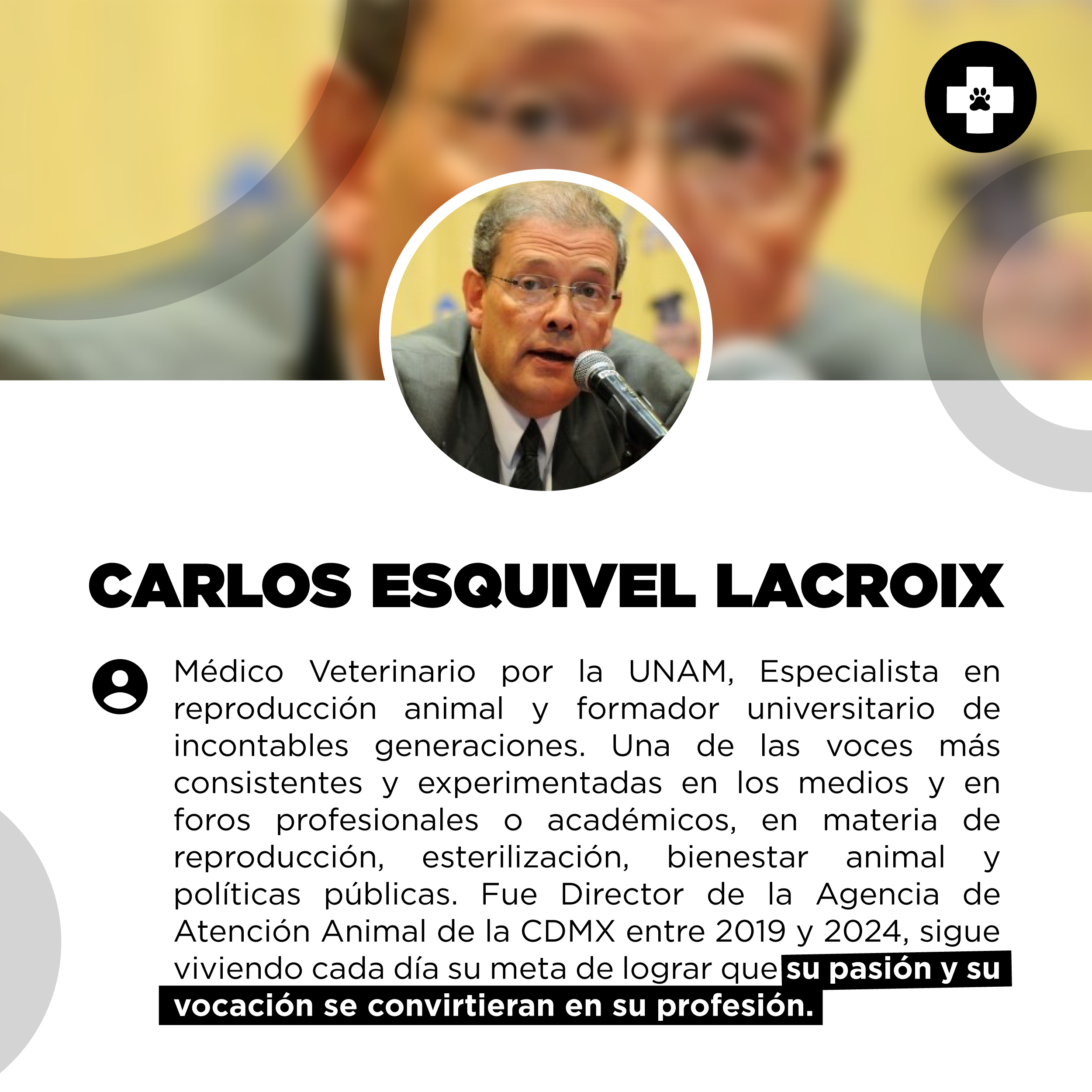 bestfriendsmx_bestfriends_catsfriends_catsfriendsmx_carlos.esquivel.lacroix_el.amarillo_especialista.en.reproduccion_agatan