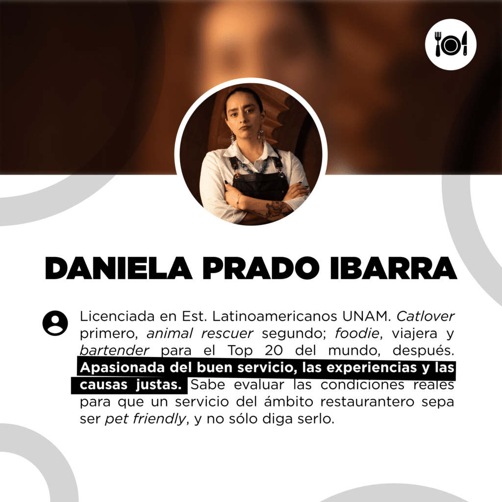 bestfriendsmx_bestfriends_catsfriends_catsfriendsmx_daniela.prado.ibarra_bartender_catlover