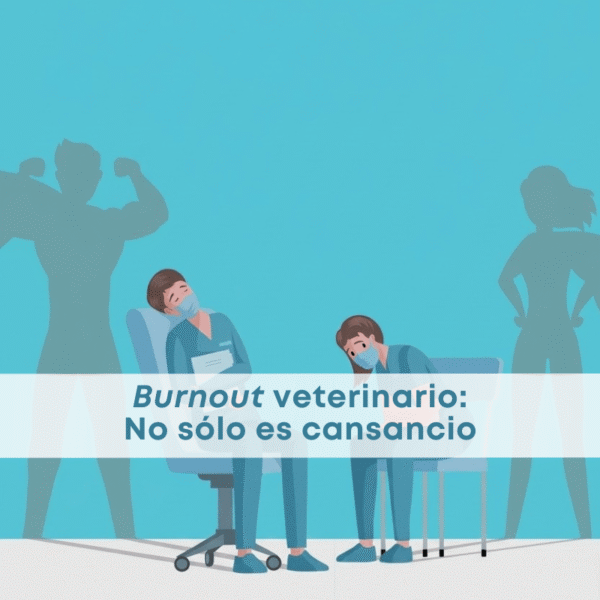 best.vets.mx_best.vets_creciendo.juntos_burnout.veterinario_dia.del.suicidio