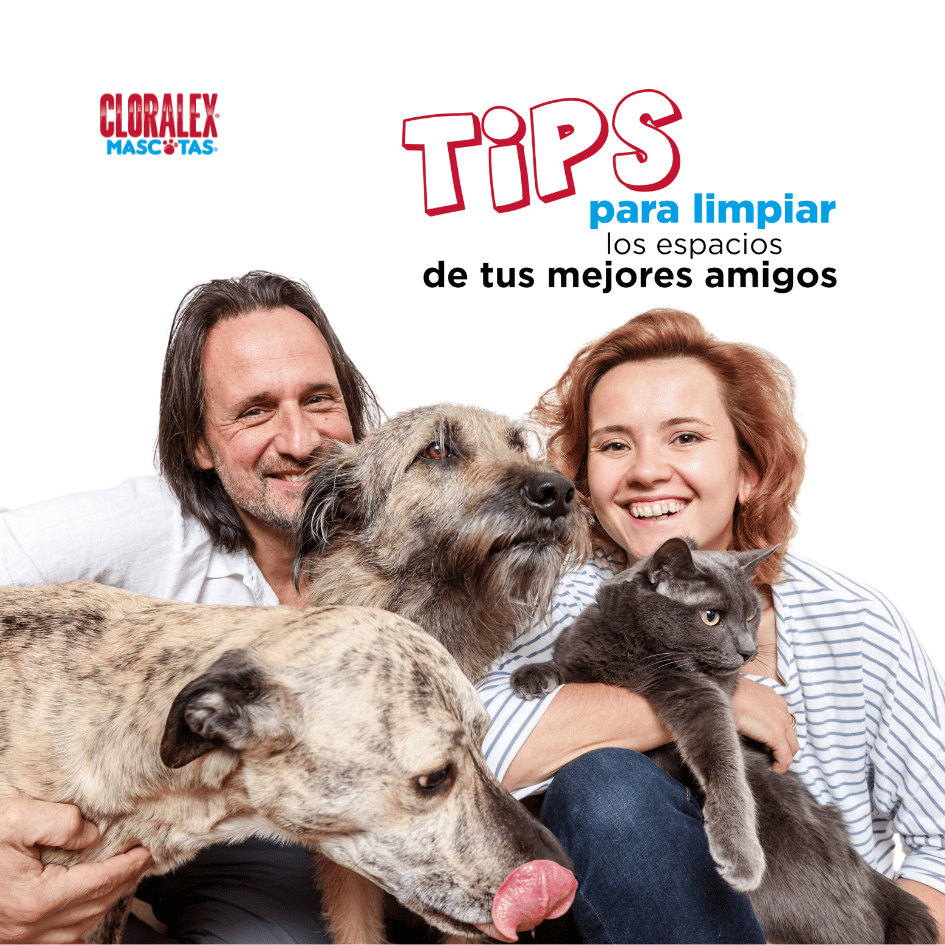 bestfrieds_bestfriendsmx_cloralex.mascota_desinfeccion_hogar.petfriendly_elimina.virus_elimina.olores_perros__malos.olores_gatos_perro_gato_cloralex_hogar.limpio 2