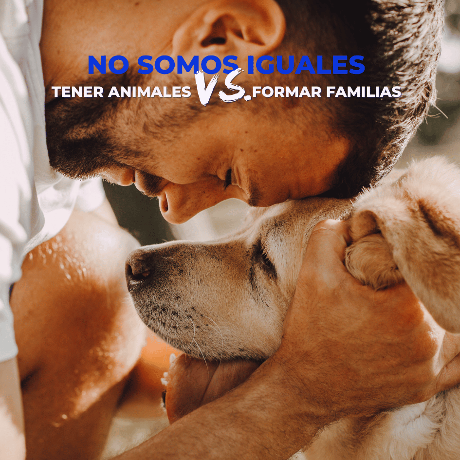 bestfriendsmx_bestfriends_catsfriends_catsfriendsmx_no.somos.iguales_paco.colmenares_animales.de.familia_mascotas_perros_gatos 1