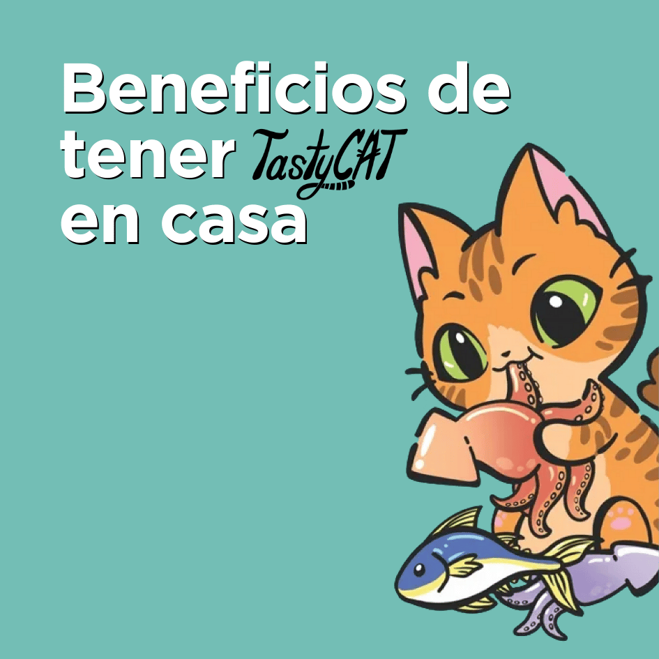 bestfriendsmx_bestfriends_catsfriends_catsfriendsmx_tastycat_creamy_gatos_golosinas.para.gatos_gatos.felices_churu_etologia.felina_gatos.sanos_gatos.felices
