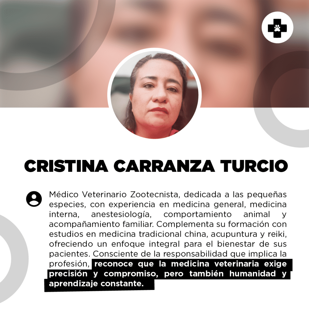 bestfriendsmx_bestfriends_catsfriends_catsfriendsmx_cristina.carranza.turcio_medico.veterinario.zootecnista_acupuntura.veterinaria_perros_gatos.png