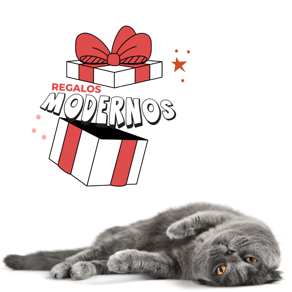 bestfriendsmx_bestfriends_catsfriends_catsfriendsmx_regalos.modernos_regalos.para.gatos_dia.del.amor.y.la.amistad_regalo.de.gato_gatos_compras_amazon_lios.cat.pet.shop