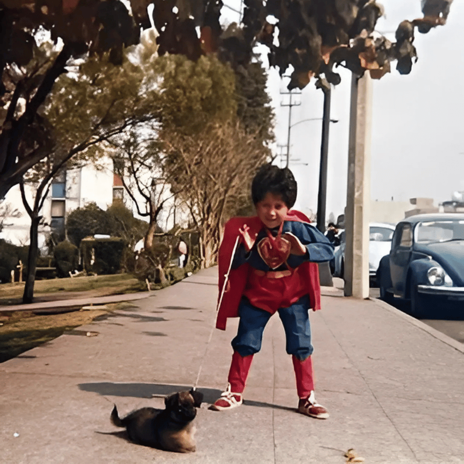 bestfriendsmx_bestfriends_KRYPTO_superman_super.perro_super.heroe_clarck.kent_perro_amigo_alien_kryptonita 3