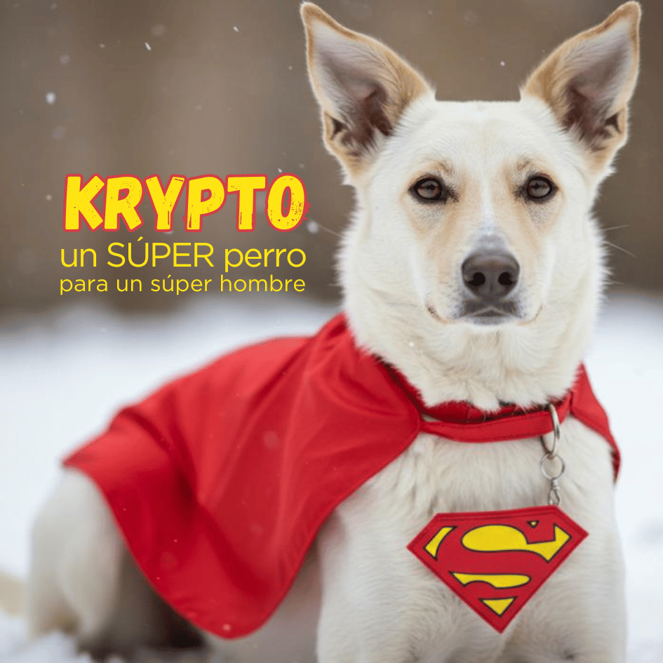 bestfriendsmx_bestfriends_KRYPTO_superman_super.perro_super.heroe_clarck.kent_perro_amigo_alien_kryptonita 1