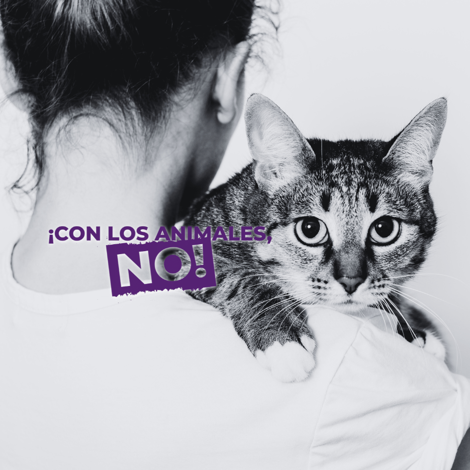 bestfriendsmx_bestfriends_catsfriends_catsfriendsmx_violencia.vicaria_violencia.contra.animales_divorcio_violencia.familiar_aly.noris2