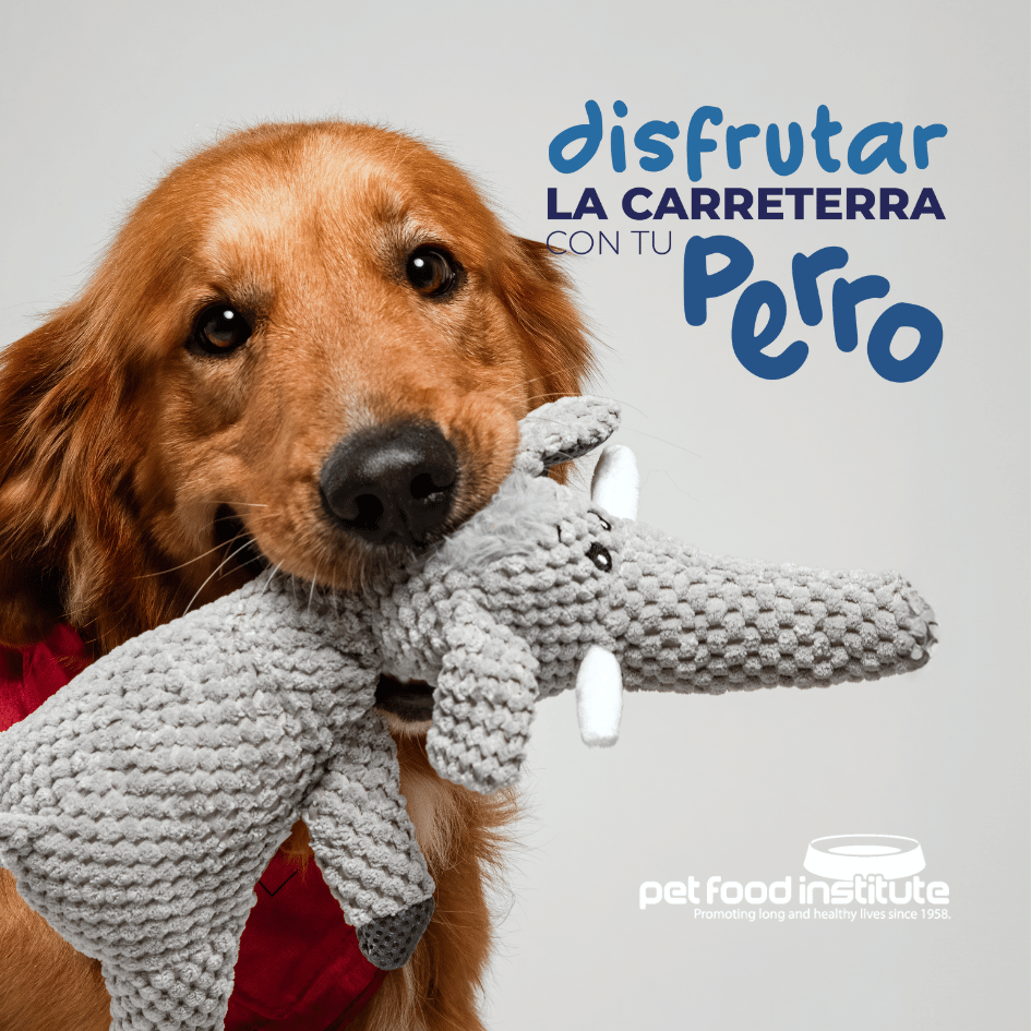 bestfriendsmx_bestfriends_pfi_pet.food.institute_roberto.abad_alimento.premium_super.premium_estados.unidos_croquetas_alimentacion_perros 2