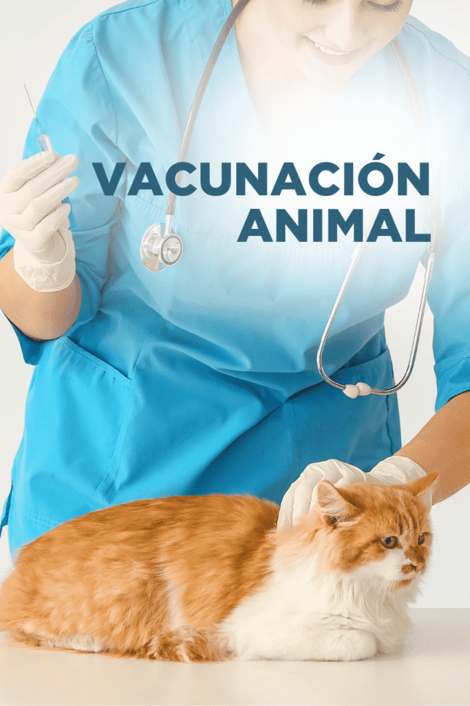 bestfriendsmx_bestfriends_catsfriends_catsfriendsmx_claudia.edwards_vacunas_medicina.preventiva_vacuna.perro_vacuna.gato_rabia_virus_salud.animal