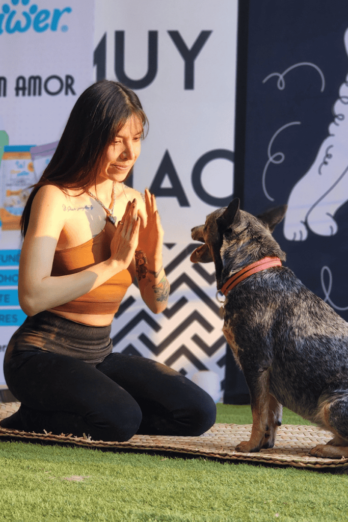 bestfriendsmx_bestfriends_catsfriends_catsfriendsmx_stay.paw-sitive_melissa.vega_medicacion.con.tu.perro_como.meditar_relajacion.con.perros_beneficios.de.meditar 2