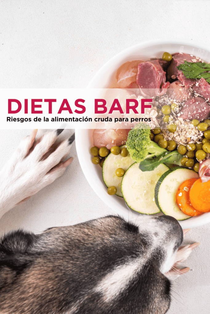 bestfriendsmx_bestfriends_catsfriends_catsfriendsmx_barf_alimento.crudo_perros_proteina.cruda_cadena.fria_snoop.the.dob_riesgo_peligro_huesos_paco.colmenares