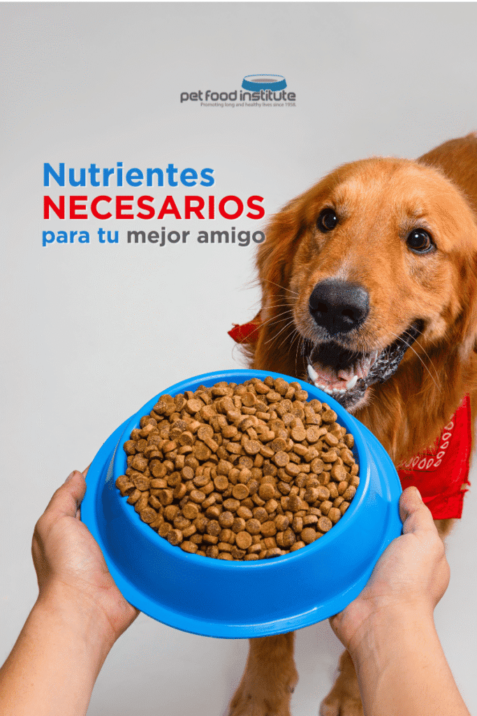 bestfriendsmx_bestfriends_catsfriends_catsfriendsmx_pet.food.institute_proteinas_grasas_minerales_vitaminas_fibra_alimento.para.perro_gato_premium_croquetas_barf_miguel.angel_lopez