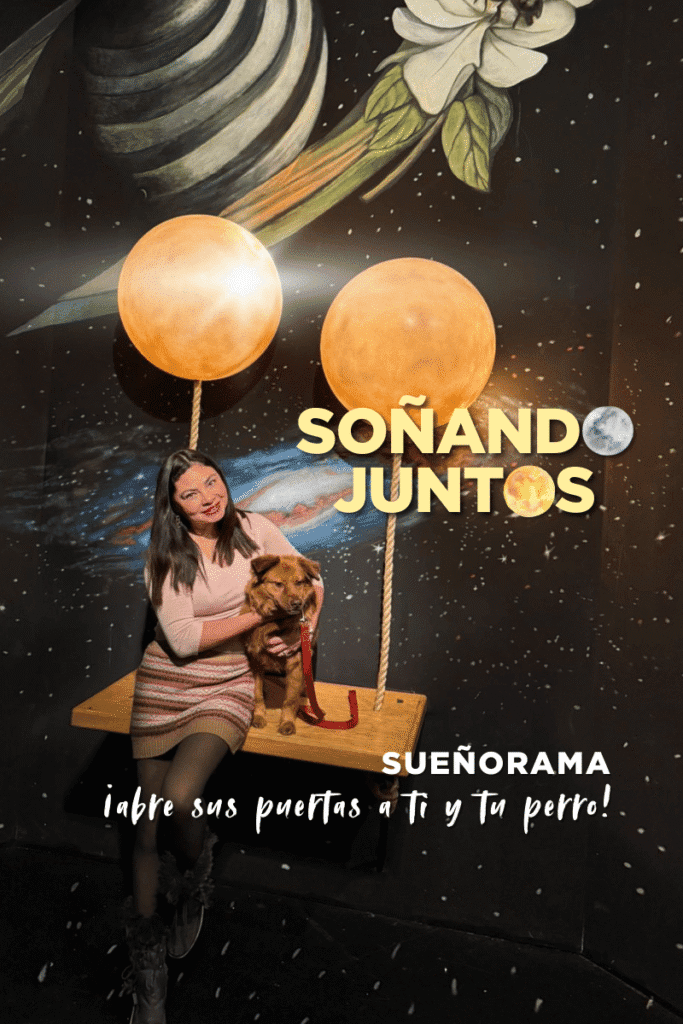 bestfriendsmx_bestfriends_catsfriends_catsfriendsmx_plaza.central_sueñorama_soñando.juntos_instagram_perros.gatos_fotos 2