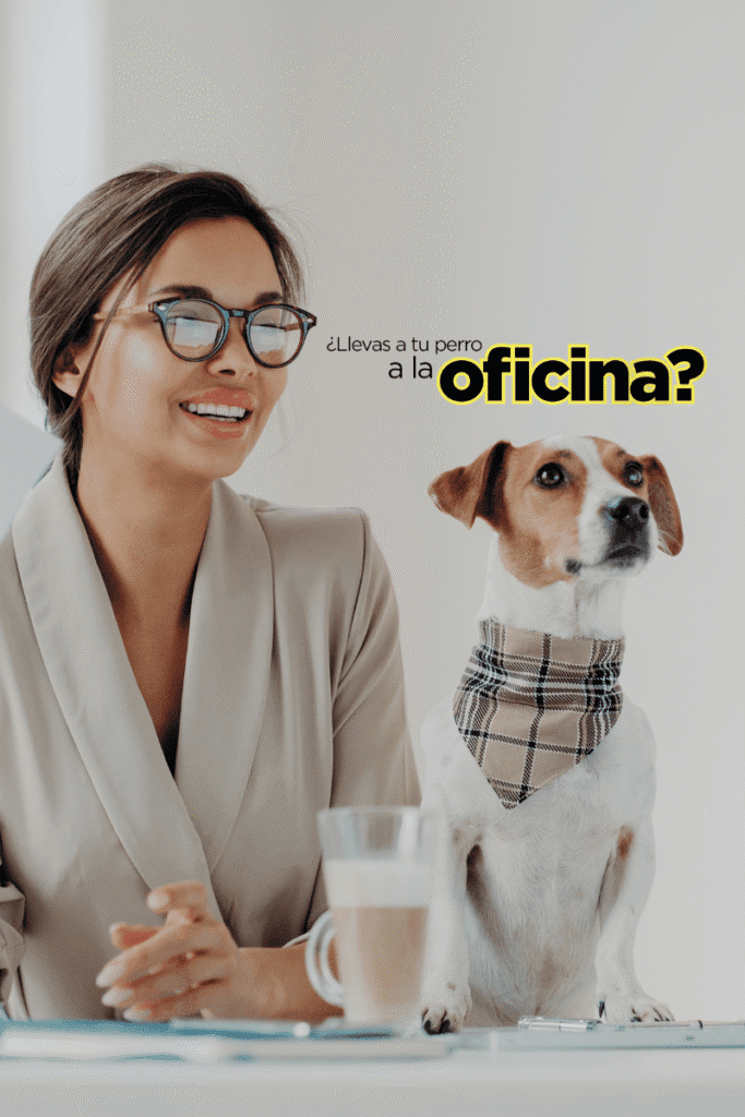 Bestfriends_best.friends.mx_dia.de.llevar.el.perro.a.la.oficina_perros._oficina.pet.friendly_claudia.edwards_humane.world.for.animals 1