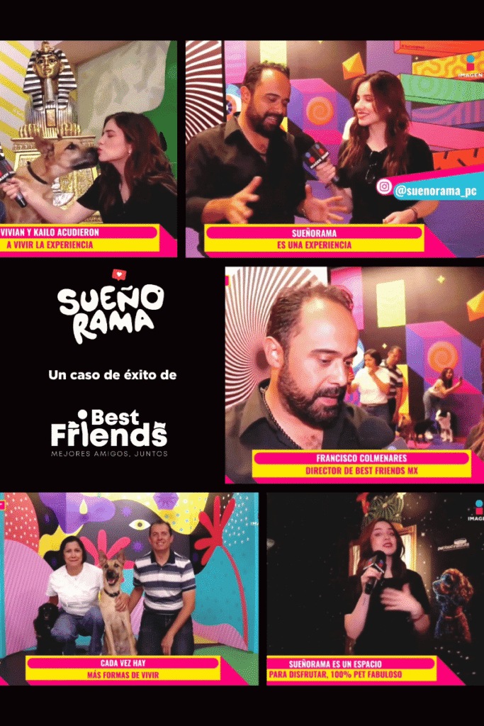 _bestfriendsmx_bestfriends_catsfriends_catsfriendsmx_sueñorama_plaza.central_pet.friendly_perros_gatos_fotos_instagram 5