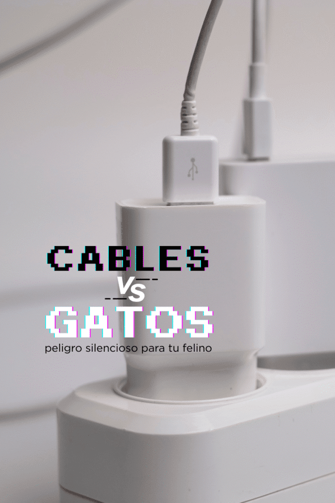 catsfriends_catsfriendsmx_cables.gatos_peligro.para.gatos_pica_edgar.zaldivar_etologia.felina_mi.gato.agarra.los.cables_cables.y.gatos