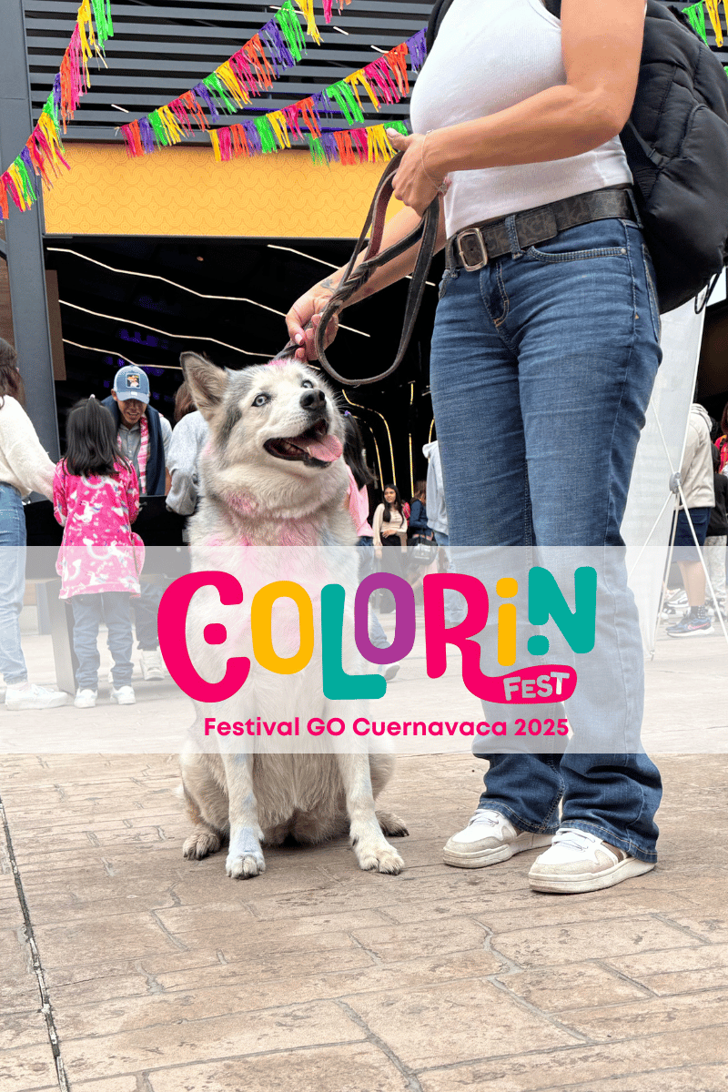 best.friends.mx_best.friends_colorin.fest_grand.outlet.cuernavaca_etologia_etovet_claudia.edwards_adaptil_clean.pawer_3